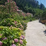 Casa Nonna Anna マイオーリ