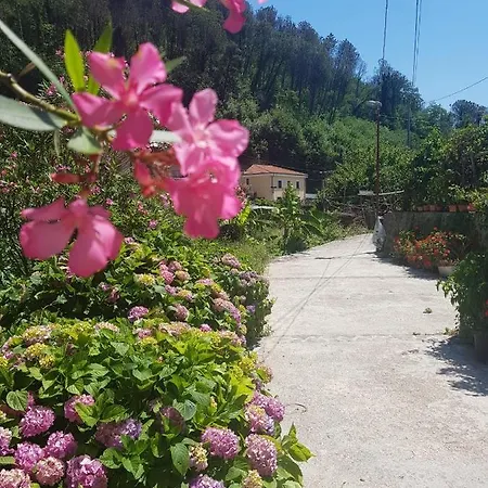 Casa Nonna Anna Ferienhaus *