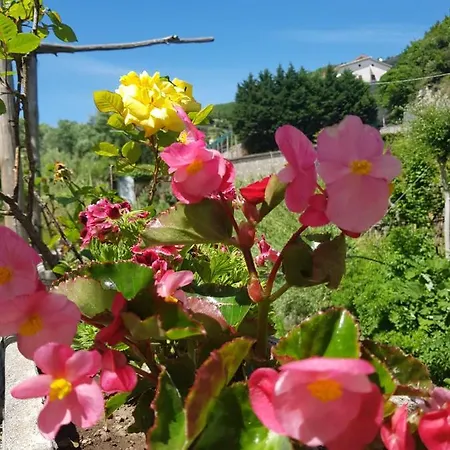 Casa Nonna Anna Casa de Férias